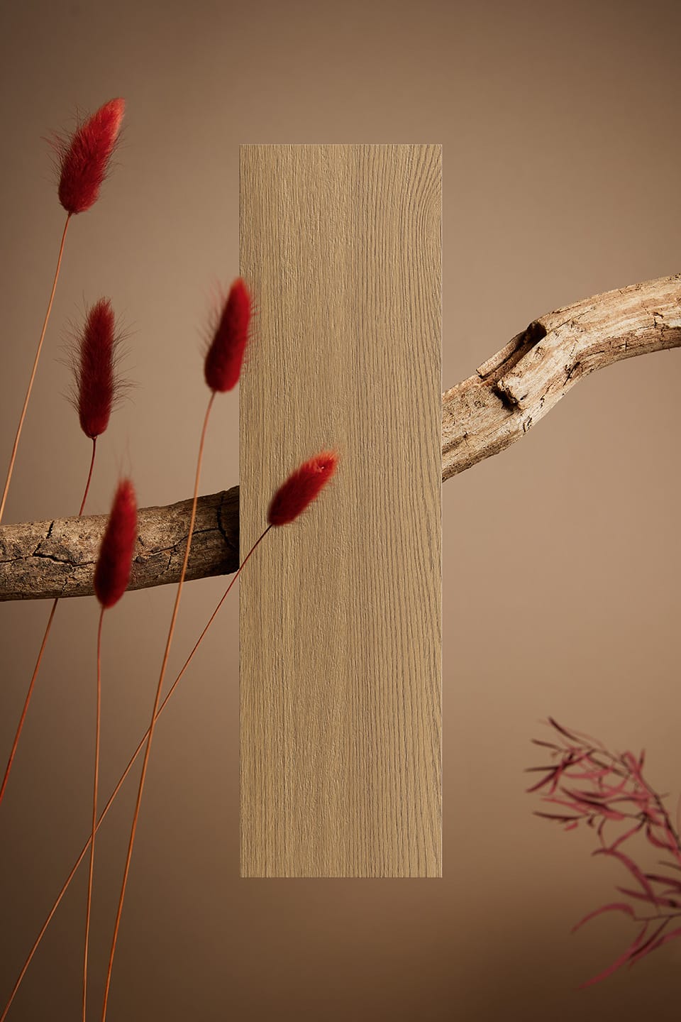 AM MOTHER 15 - COGNAC copia