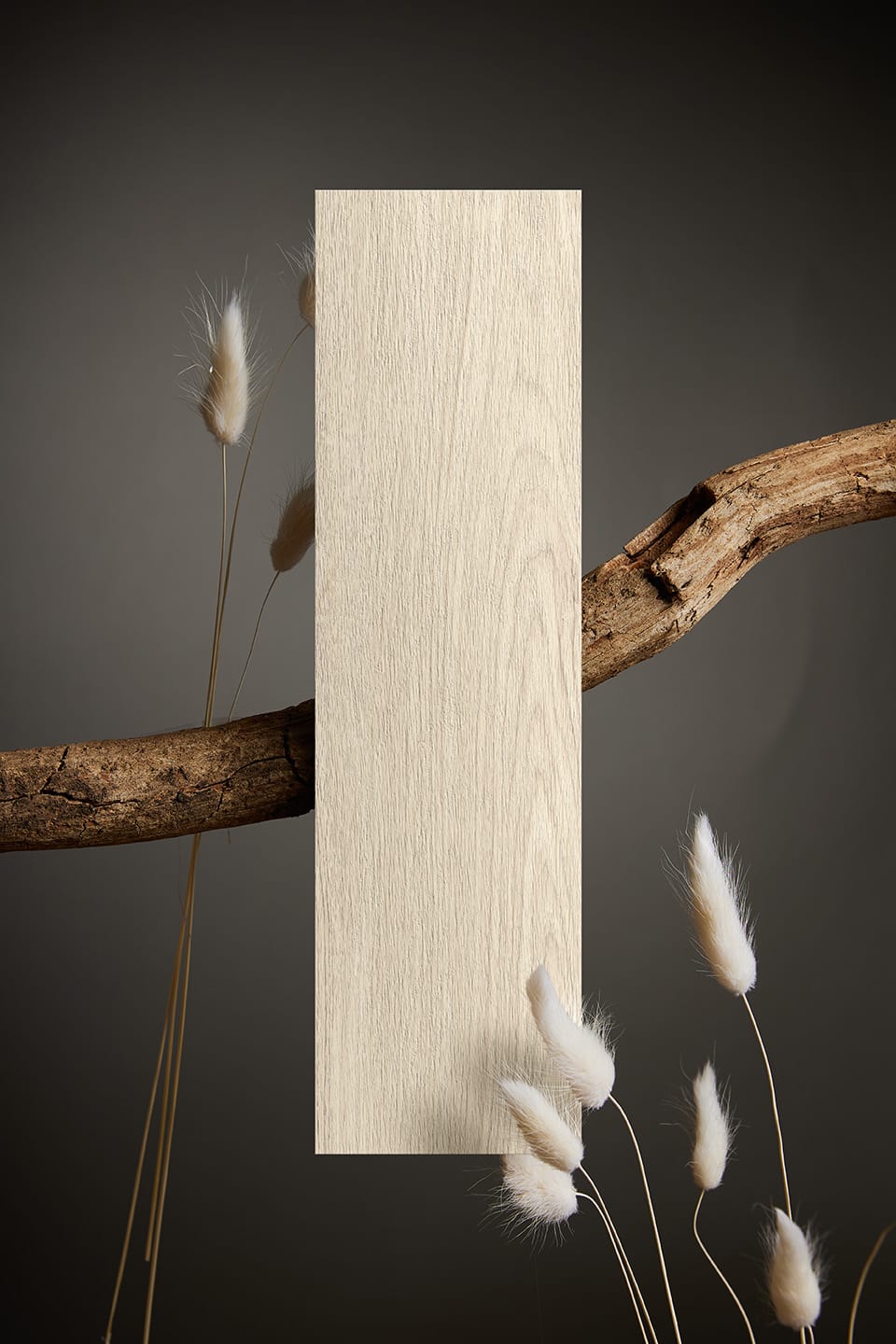 AM MOTHER 18 - CANAPA copia