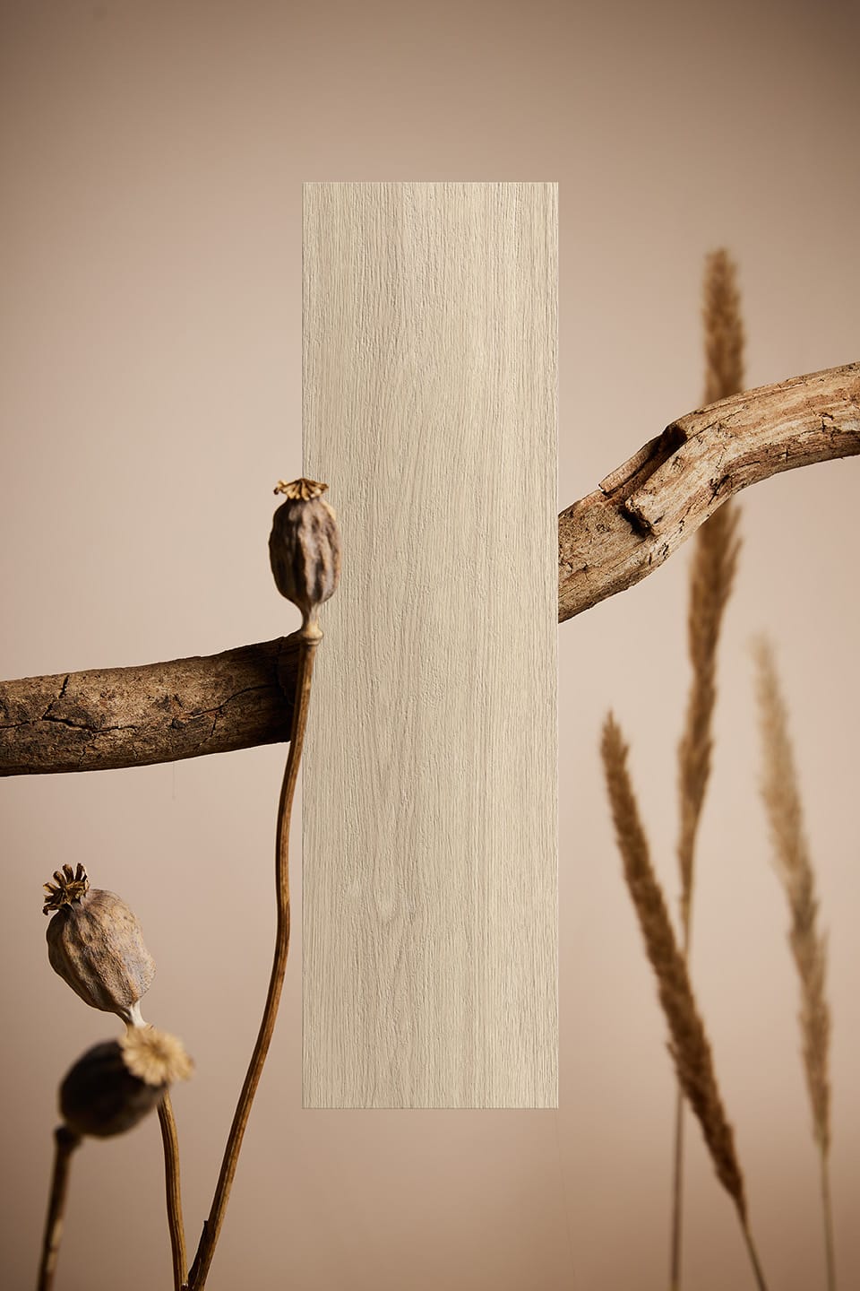 AM MOTHER 19 - UNIQUE copia