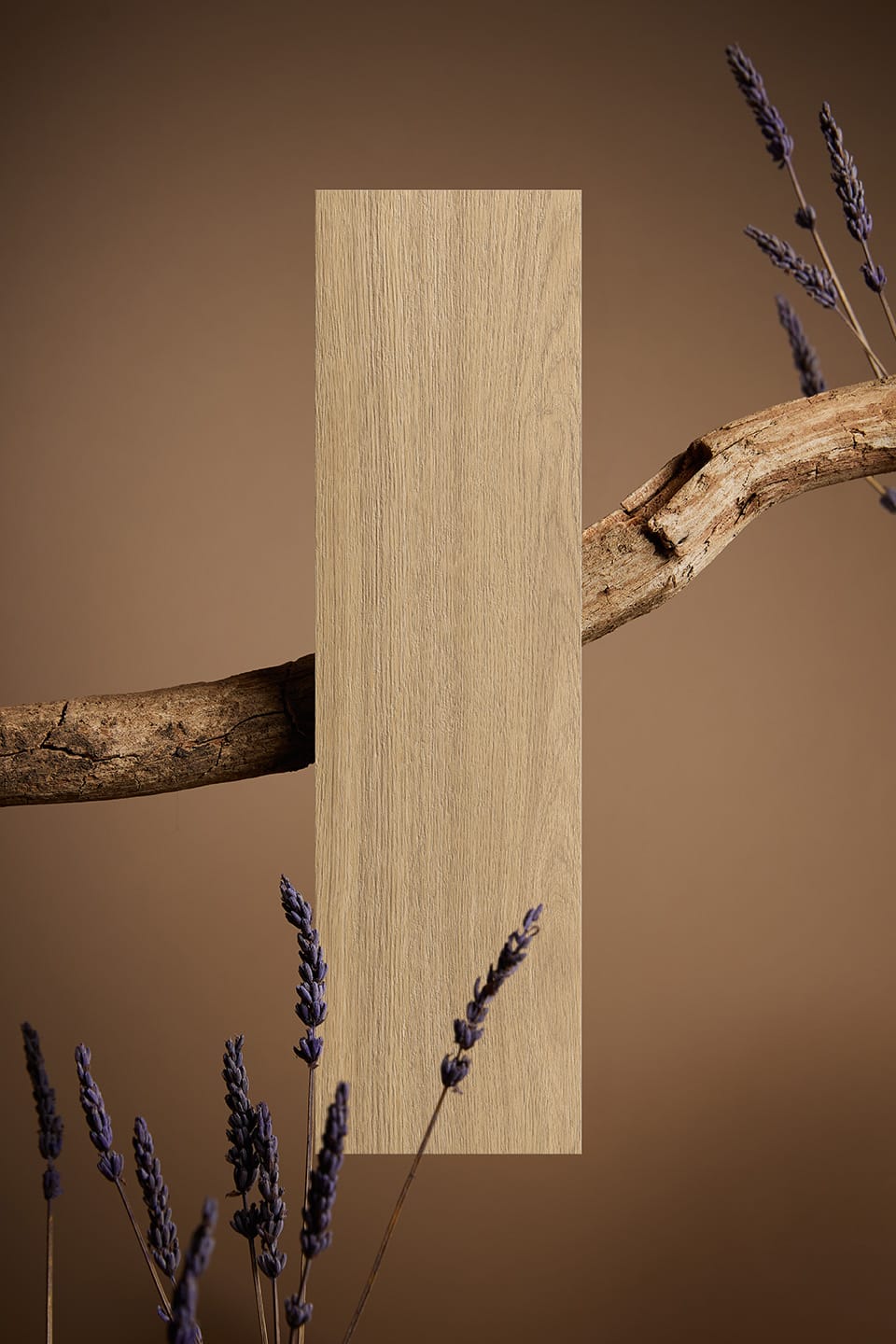 AM MOTHER 20- MALTO copia